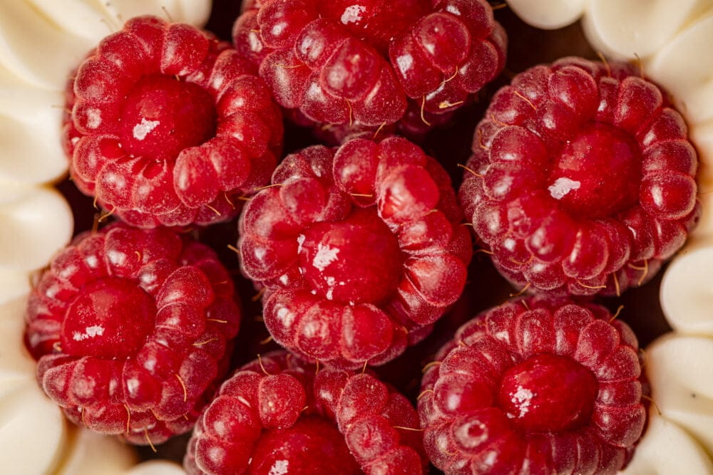 DESEO Raspberry Basket_5