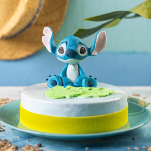 Tort Stitch